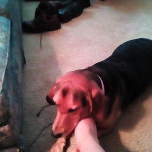 Meet your Posher, Logan